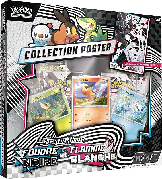 Coffret Collection Poster EV10.5
